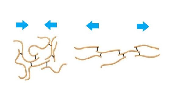 Levicose contine fibre de elastina